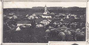 Gl325-12-v-Bern-Feld-k