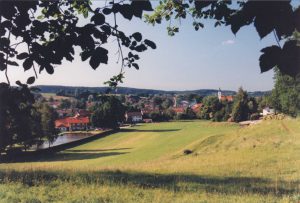 Gl520-16-v-FeldkStrWaldrd-1995-k