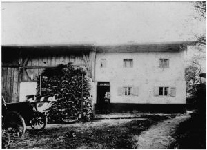 GN228-08-Lampert-Steinfink-Nord-1910